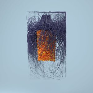 Plaid/Polymer [LP]