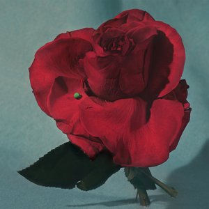 Metz/Up On Gravity Hill (Indie Exclusive Light Blue with Red Blob Vinyl) [LP]