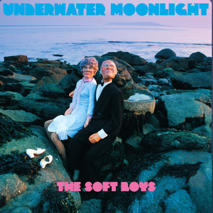 Soft Boys, The/Underwater Moonlight (45th Anniversary Remaster) [LP]