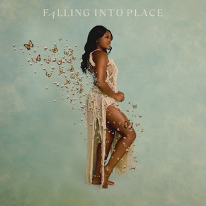Aqyila/Falling Into Place [LP]