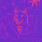 Dehd/Poetry [CD]