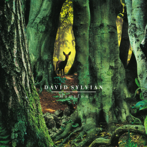 Sylvian, David/Manafon [LP]