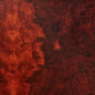 True Widow/Avvolgere [LP]