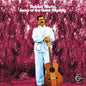 Basho, Robbie/Songs of the Great Mystery: The Lost Vanguard Sessions [CD]