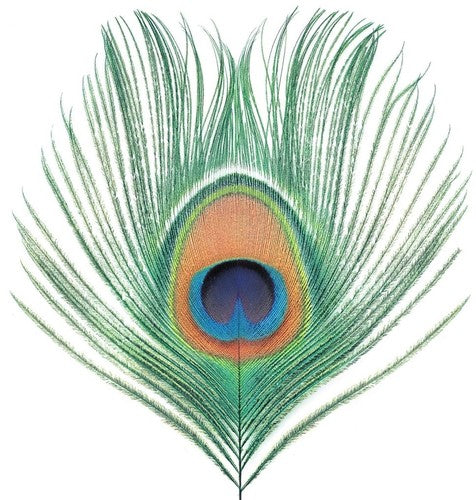 XTC/Apple Venus Vol. 1 (200 Gram) [LP]