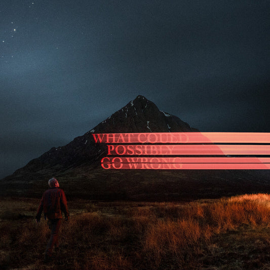 Fike, Dominic/What Could Possibly Go Wrong [LP]