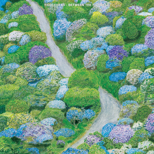 Fiddlehead/Between The Richness (Blue & White Galaxy Swirl Vinyl) [LP]