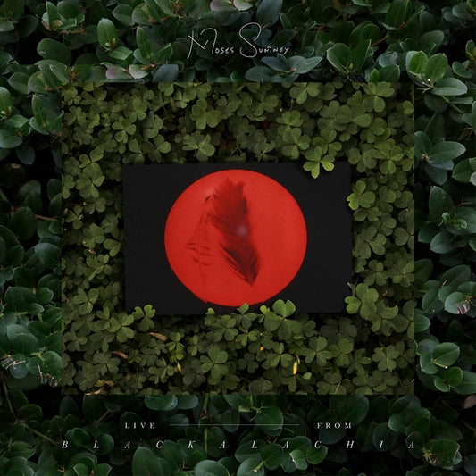 Sumney, Moses/Live From Blackalachia (Coloured Vinyl) [LP]