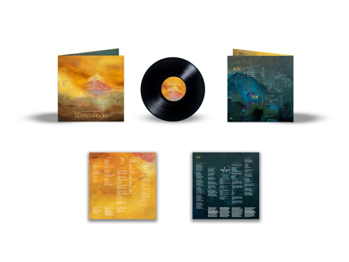 Silversun Pickups/Tenterhooks [LP]