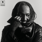 Thundercat/Distracted [CD]