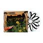 Morby, Kevin/Little Wide Open [CD]