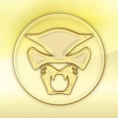Thundercat/The Golden Age Of The Apocalypse [LP]