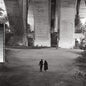Richard, Dawn & Spencer Zahn/Quiet In A World Full Of Noise [LP]