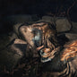 Weather Station, The/Humanhood [CD]