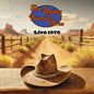 Flying Burrito Brothers/Live 1976 [LP]