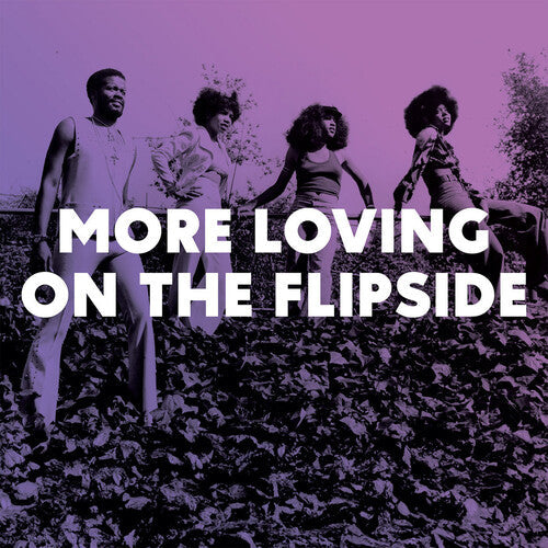 Various Artists/More Loving On The Flipside [LP]