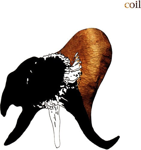 Coil/Black Antlers [CD]