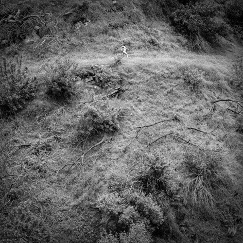 Tivel, Anna/Animal Poem [LP]