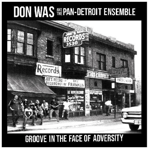 Don Was/Groove In The Face Of Adversity [LP]