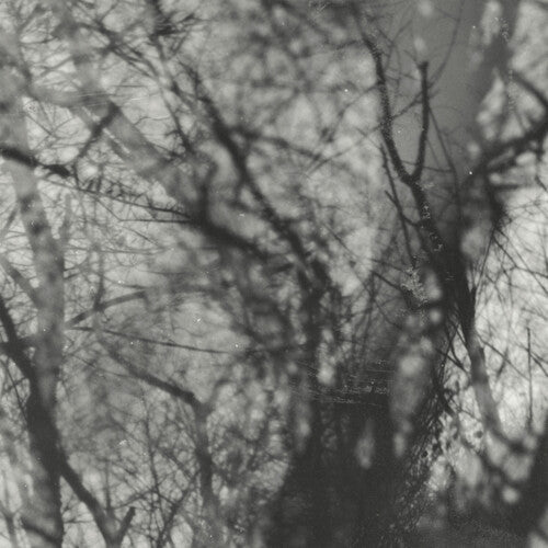 Grouper/Way Their Crept [LP]