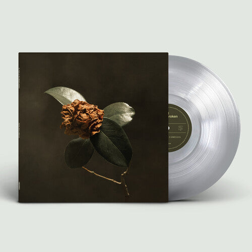 St. Paul & The Broken Bones/Young Sick Camellia [LP]