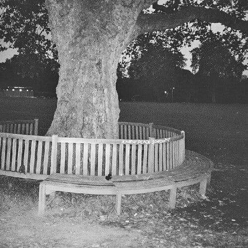 Marshall, Archy (King Krule)/A New Place 2 Drown Instrumental [LP]