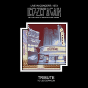 Led Zeppelin/Live At Madison Square Garden July 1973 (Coloured Vinyl) [LP]
