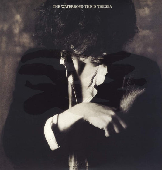 Waterboys/This Is the Sea [LP]