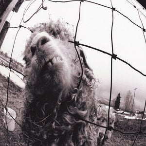 Pearl Jam/Vs. [CD]