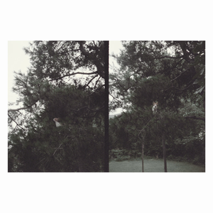 Lee, Okkyung/Just Like Any Other Day [LP]