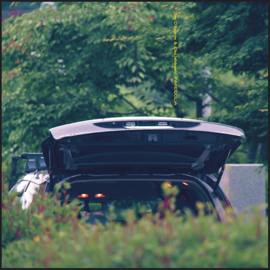 Ishibashi, Eiko & Jim O'Rourke/Pareidolia [LP]
