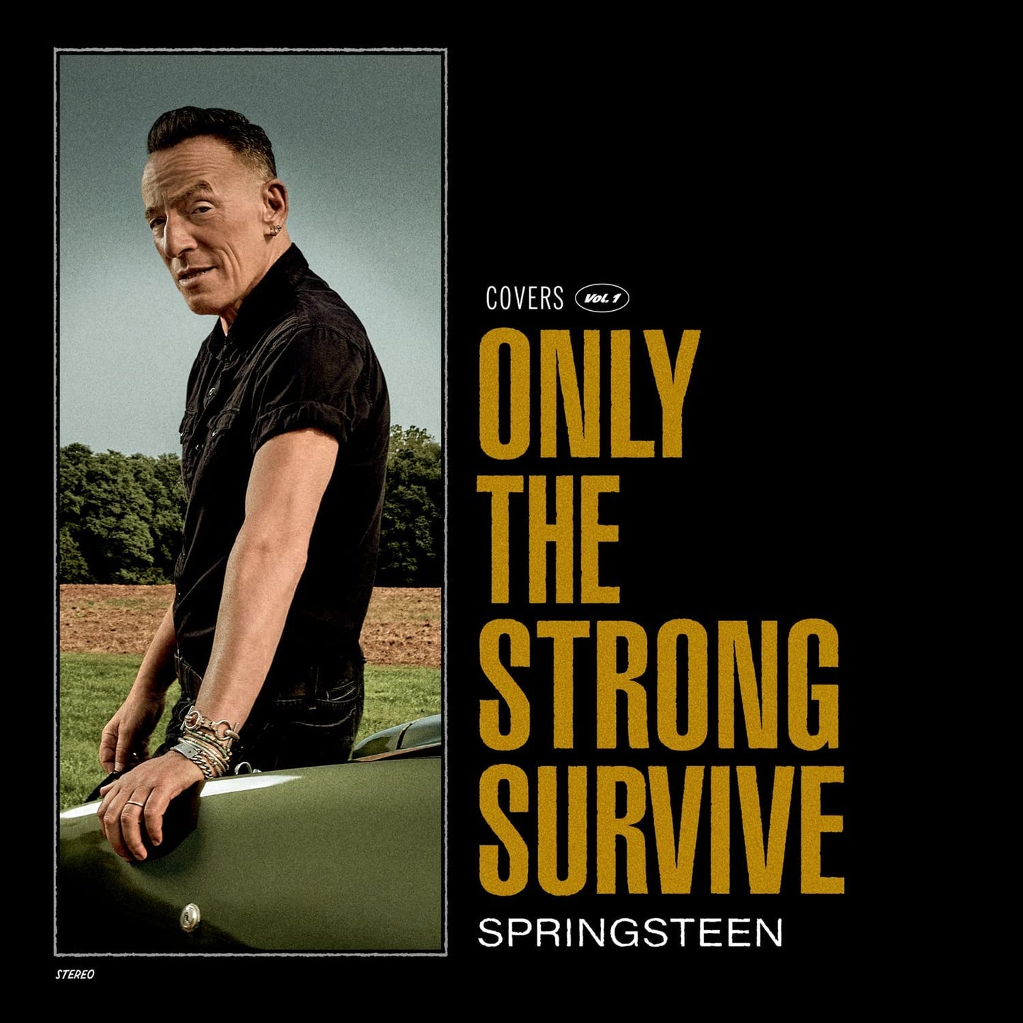 Springsteen, Bruce/Only The Strong Survive [CD]