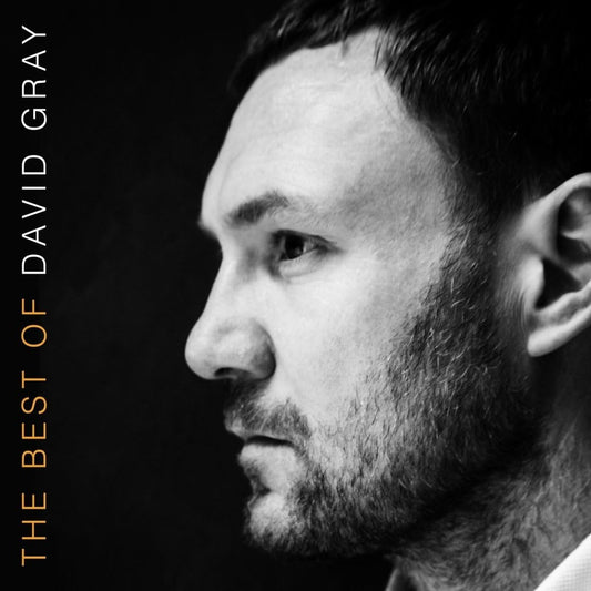 Gray, David/The Best Of (Black Vinyl) [LP]