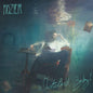 Hozier/Wasteland Baby! [CD]