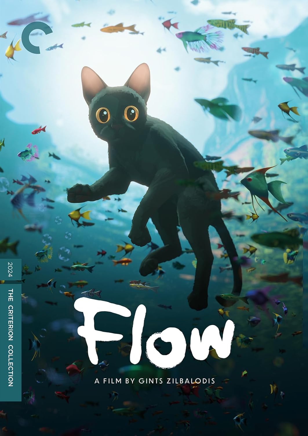 Flow [DVD]