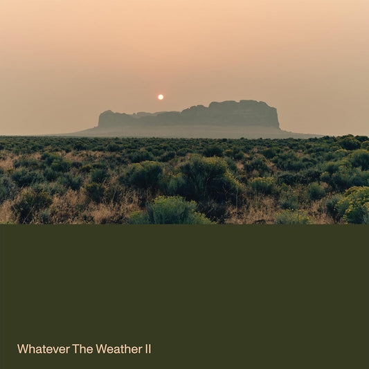 Whatever The Weather/Whatever The Weather II (Dark Green Vinyl) [LP]