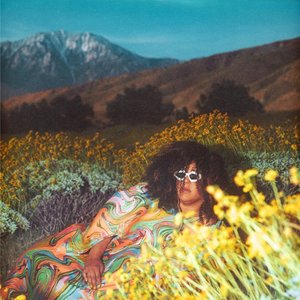 Howard, Brittany/What Now [LP]