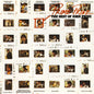 Prine, John/Prime Prine: The Best of [CD]