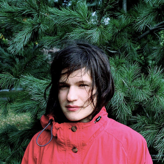 Lenker, Adrianne/Hours Were the Birds [Vinyl]
