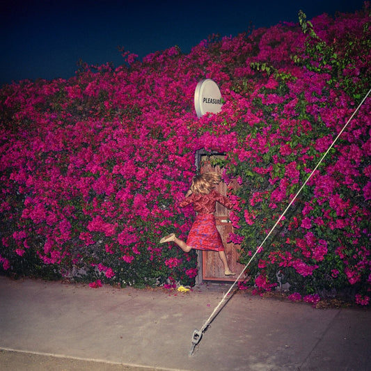 Feist/Pleasure [LP]