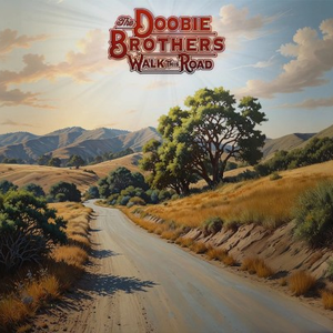 Doobie Brothers, The/Walk This Road [LP]