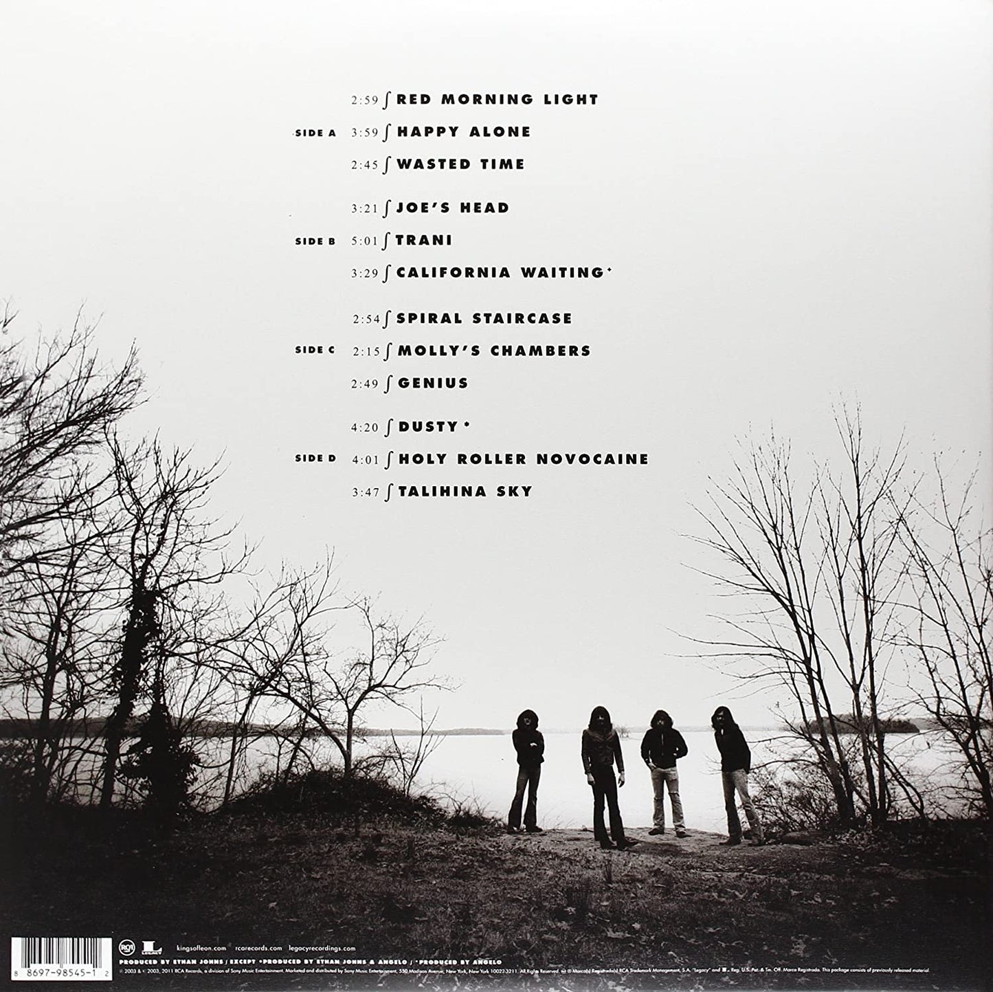 Kings of Leon/Youth & Young Manhood [LP]