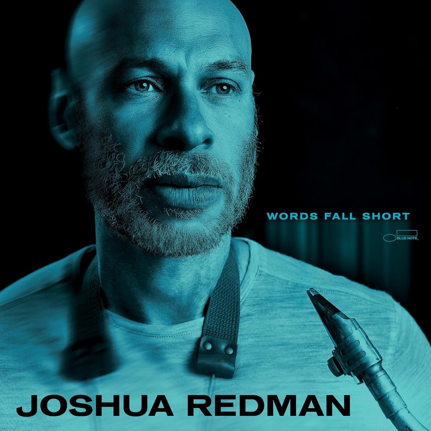 Redman, Joshua/Words Fall Short [CD]