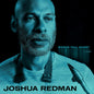 Redman, Joshua/Words Fall Short [CD]