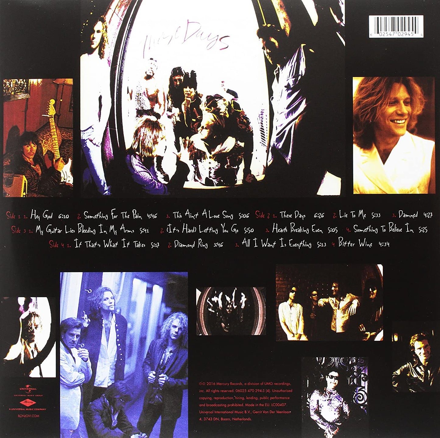 Bon Jovi/These Days [LP]