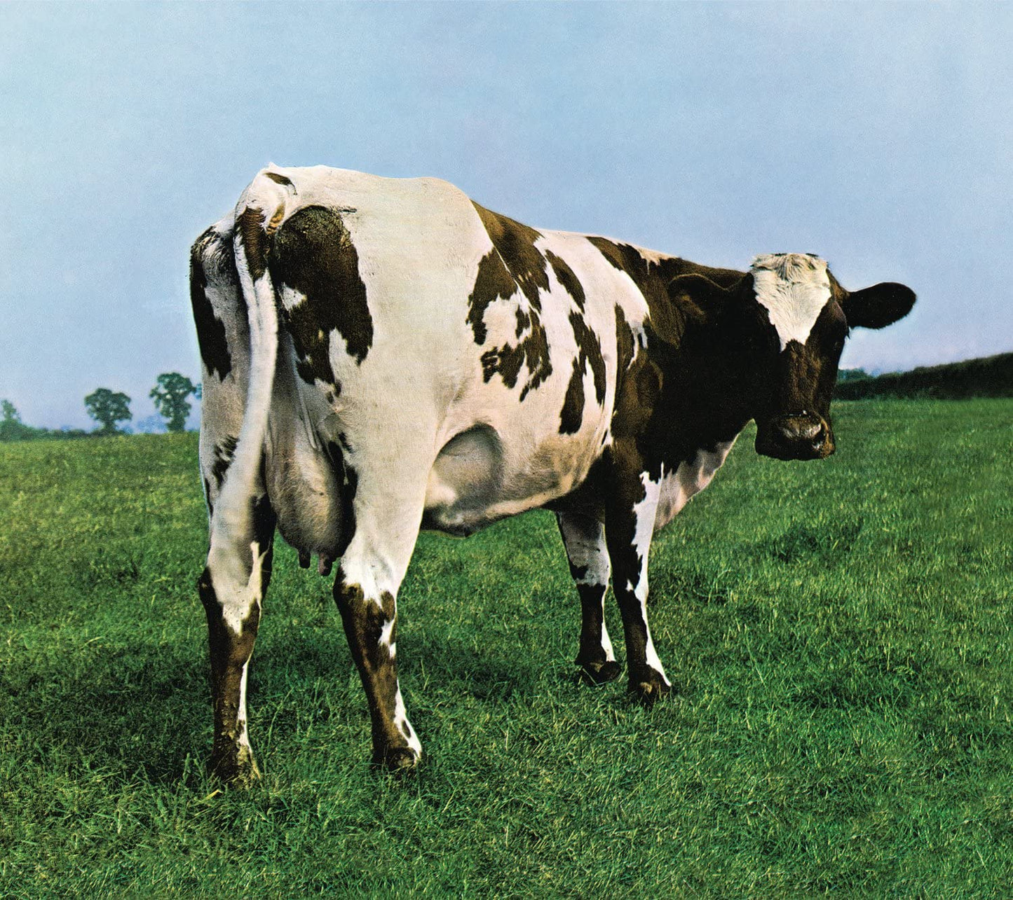 Pink Floyd/Atom Mother Heart [CD]