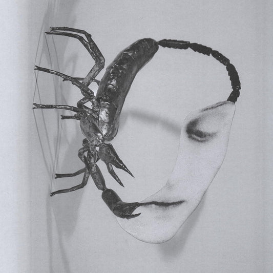 Tortoise/Touch [LP]