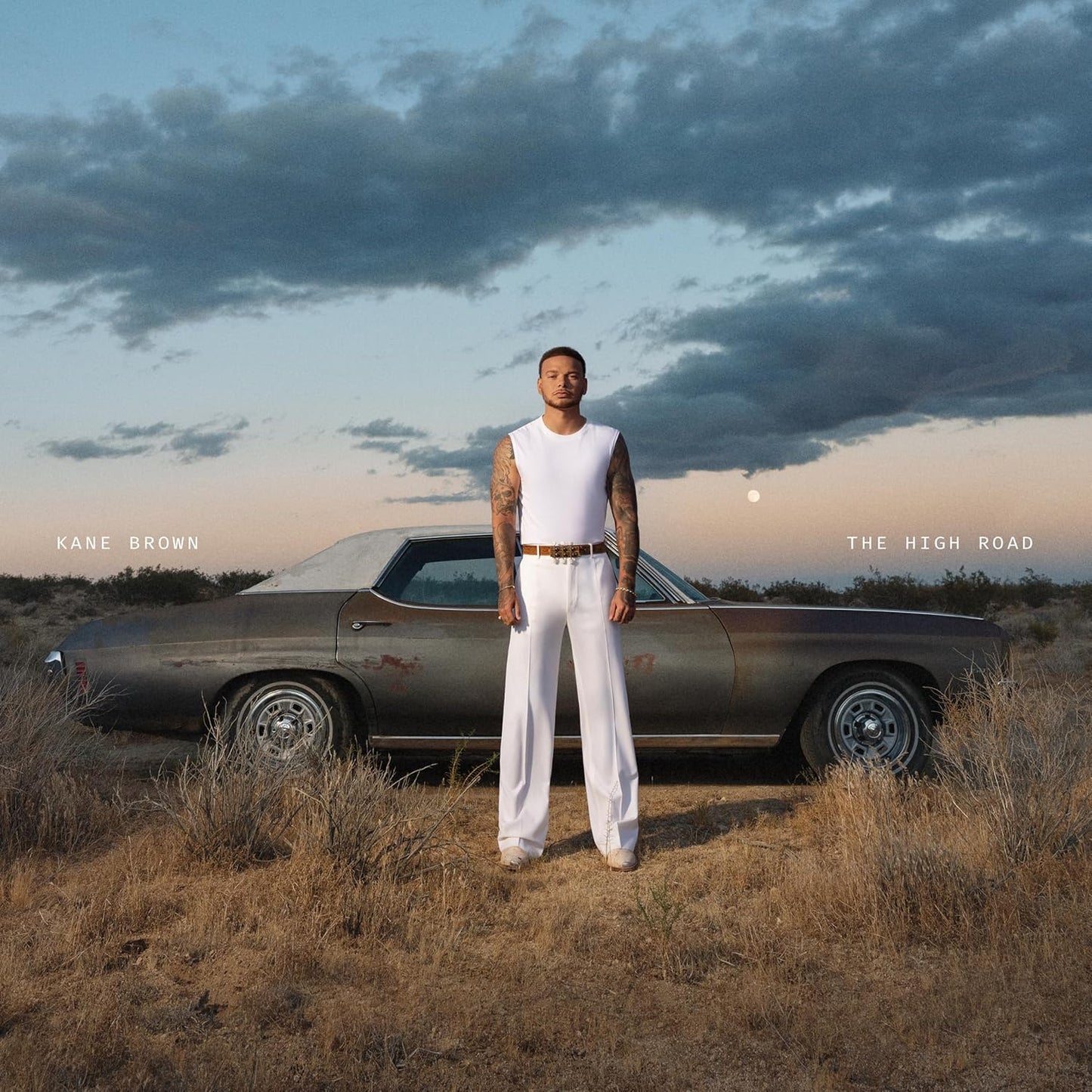 Brown, Kane/The High Road [LP]