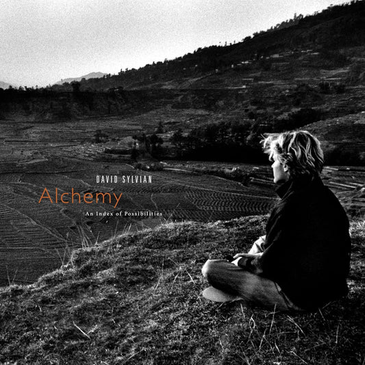 Sylvian, David/Alchemy: An Index Of Possibilities (Gold/Red Vinyl) [LP]