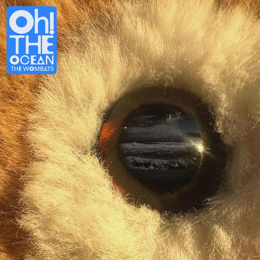 Wombats, The/Oh! The Ocean (Transparent Blue Vinyl) [LP]